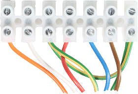 bx pt kingfisher e02368 ter mains.gif